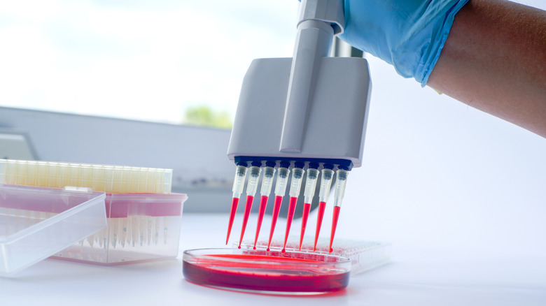 most important blood tests