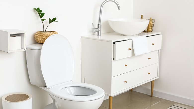 Modern style bathroom