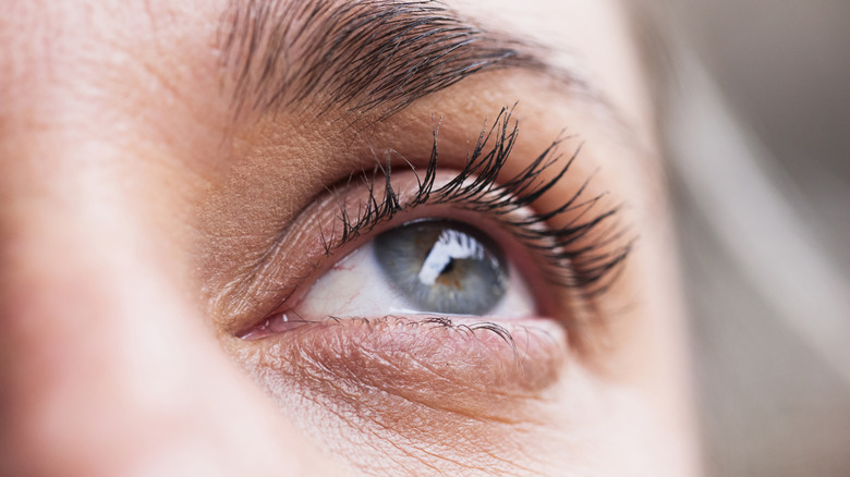closeup of eye