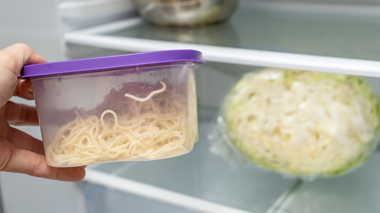 placing leftover spaghetti in refrigerator