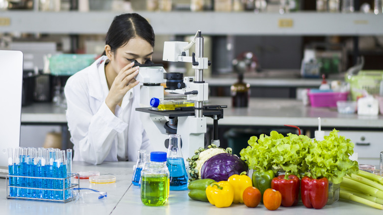 scientist looking at food samples in laboratory