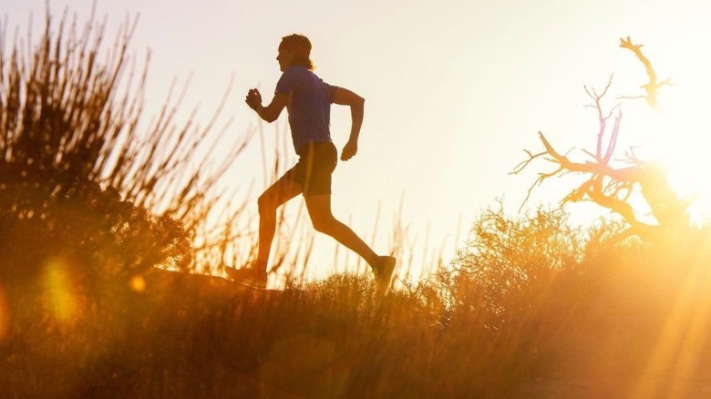 Scott Jurek running