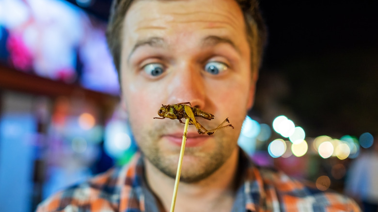 concept of man about to eat a cricket