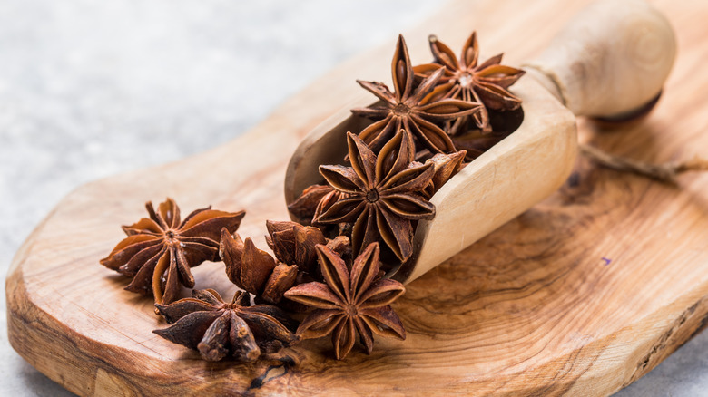 star anise herb