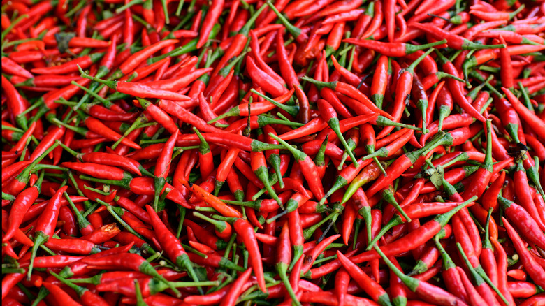 a pile of red chili peppers 