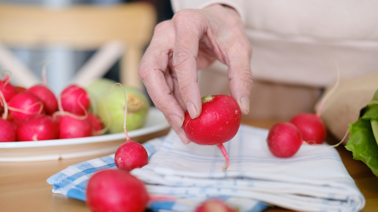 A woman's hand holding a radish over a dish cloth