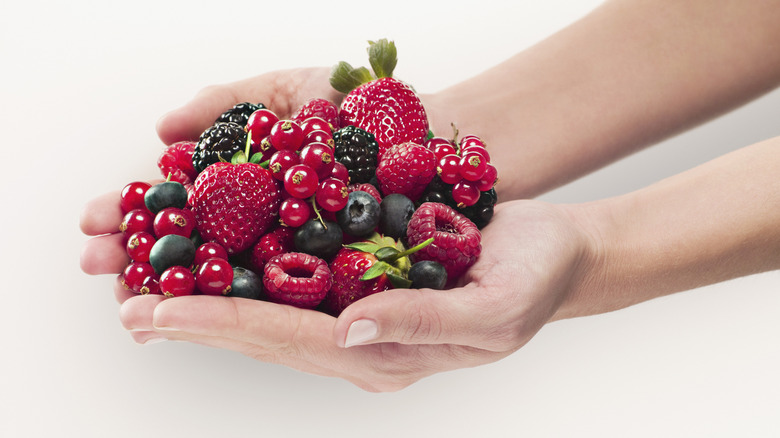 woman's hands holding an array of berries