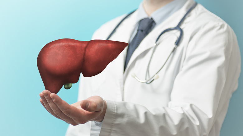 Doctor in a white coat "holding" a liver