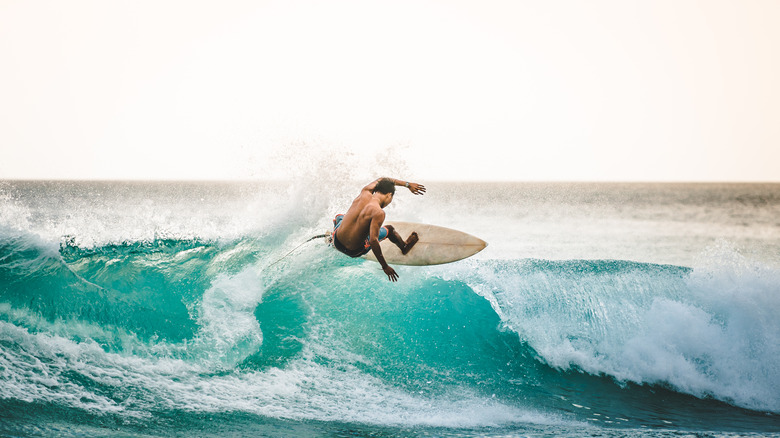 hawaii surfer