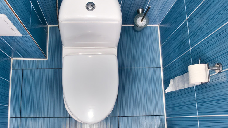 toilet and tissue dispenser