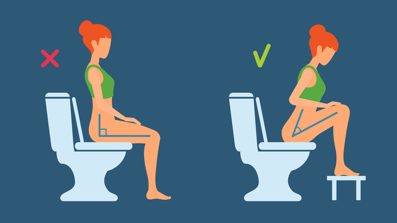Proper way to squat on the toilet infographic