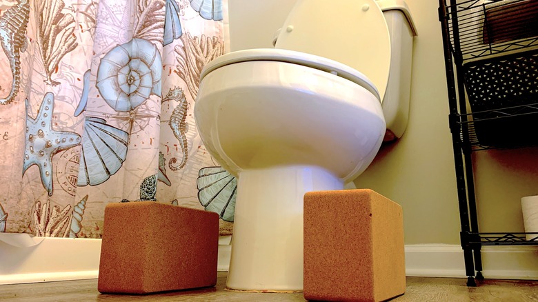 toilet with yoga blocks