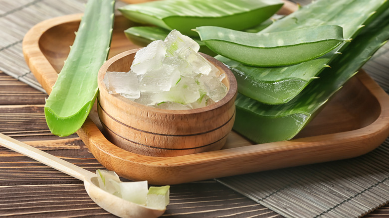 Pieces of aloe vera plant