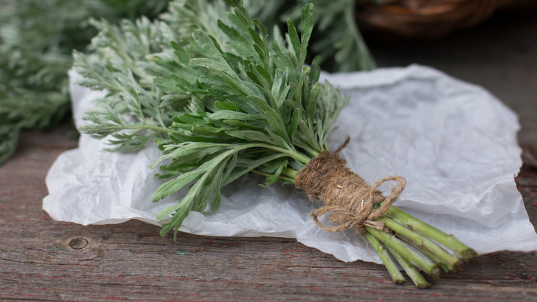 picked wormwood tied in string 
