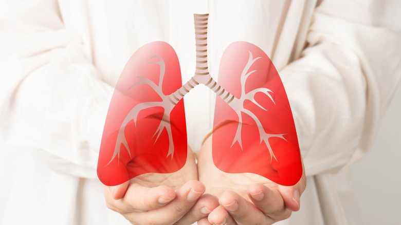 Doctor holding an icon of lungs in hands 