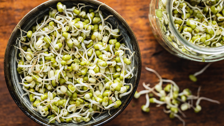 A bowl and mason jar full of mung bean sprouts on wooden table