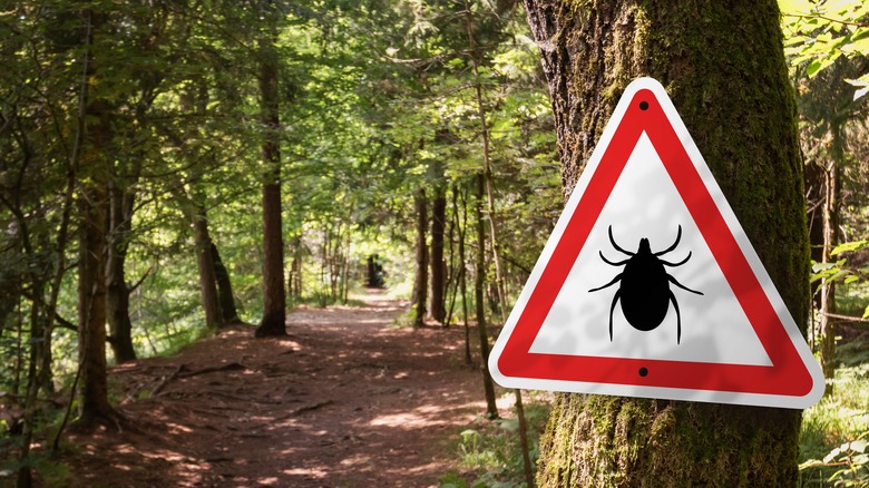 Tick warning sign on a tree