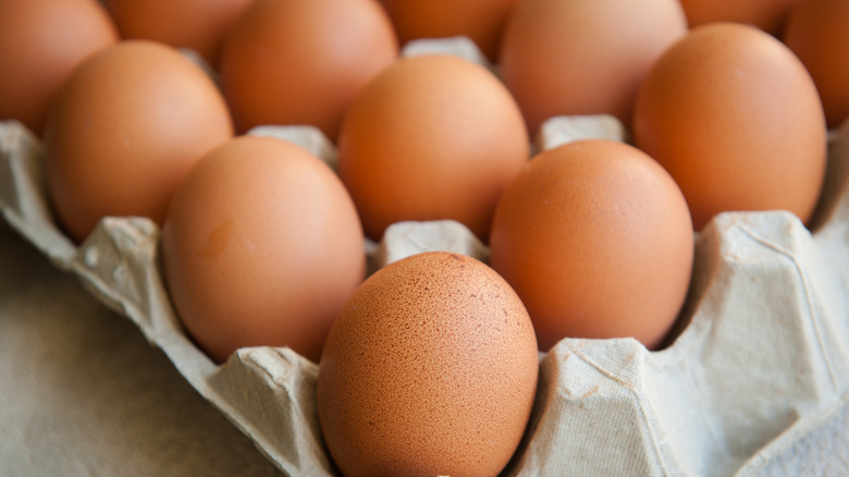 eggs in a carton
