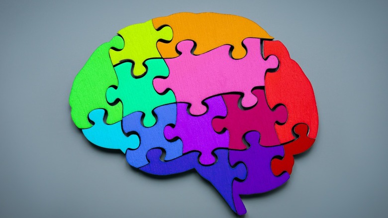 multi-colored brain puzzle 