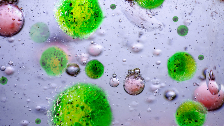 conceptual image of harmful bacteria 