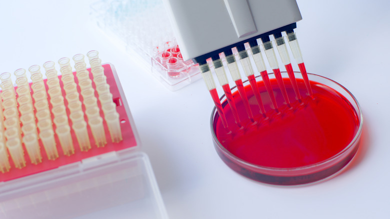 hemoglobin blood test