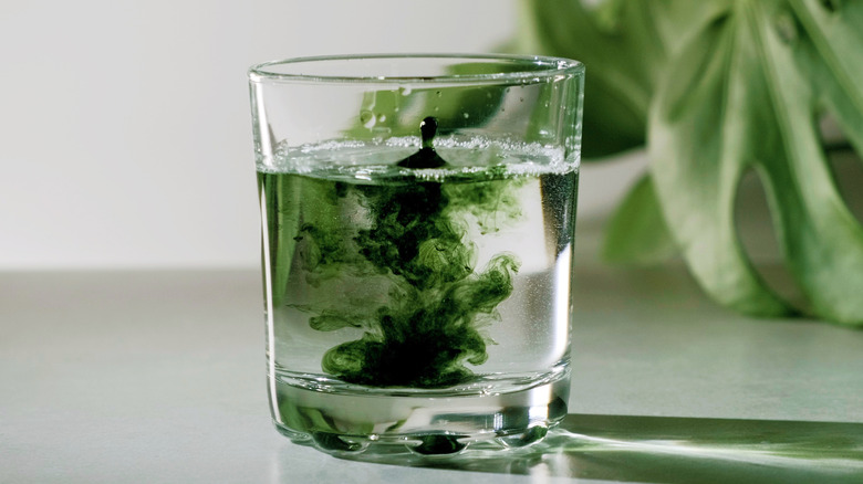 chlorophyll water