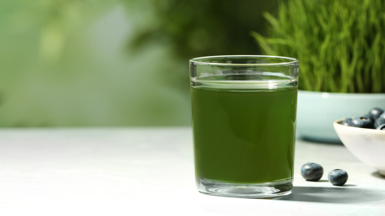 wheatgrass drink