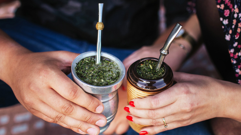 yerba mate