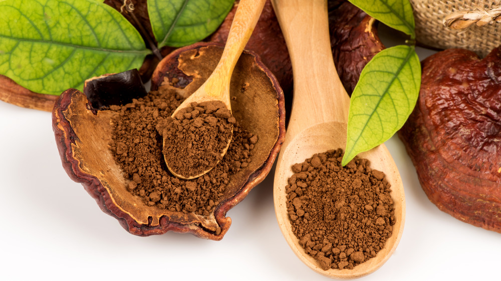 reishi mushroom powder supplement