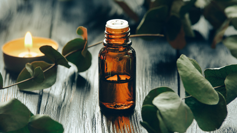 A bottle of eucalyptus oil on a wooden table 