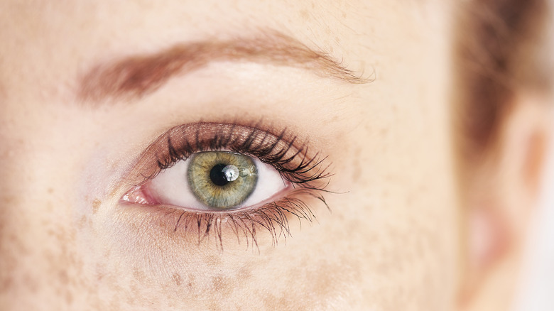 close-up of a green eye