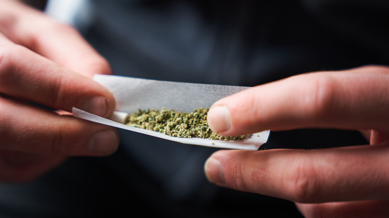 person rolling a joint