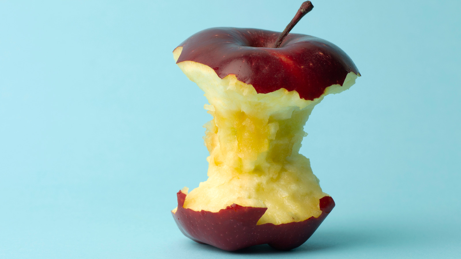 apple core with seeds