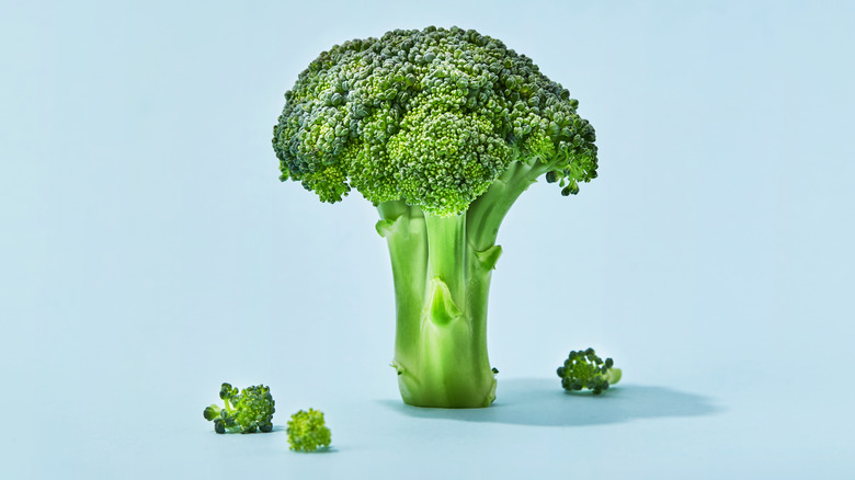 broccoli on light blue background