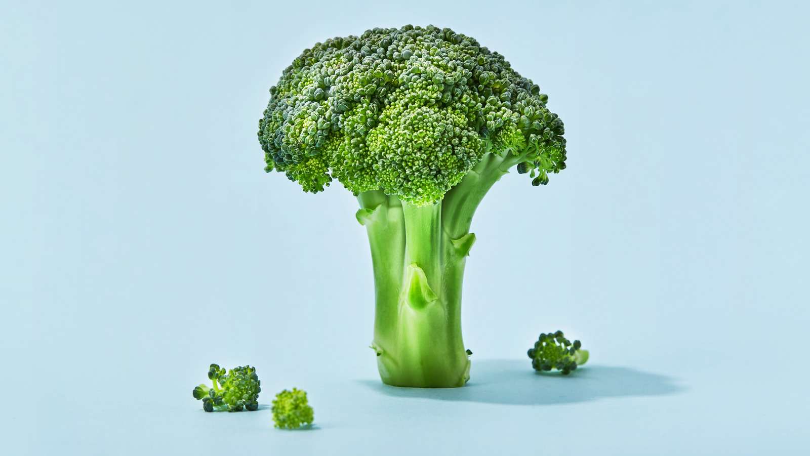 What Happens To Your Body When You Eat Broccoli Every Day