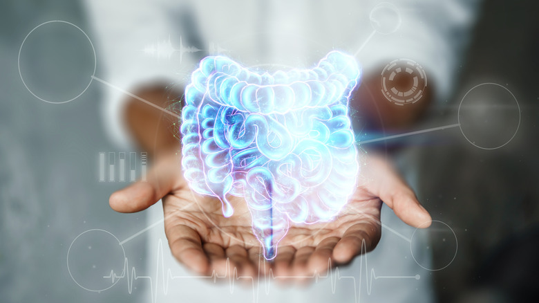 Person holding holographic image of gut