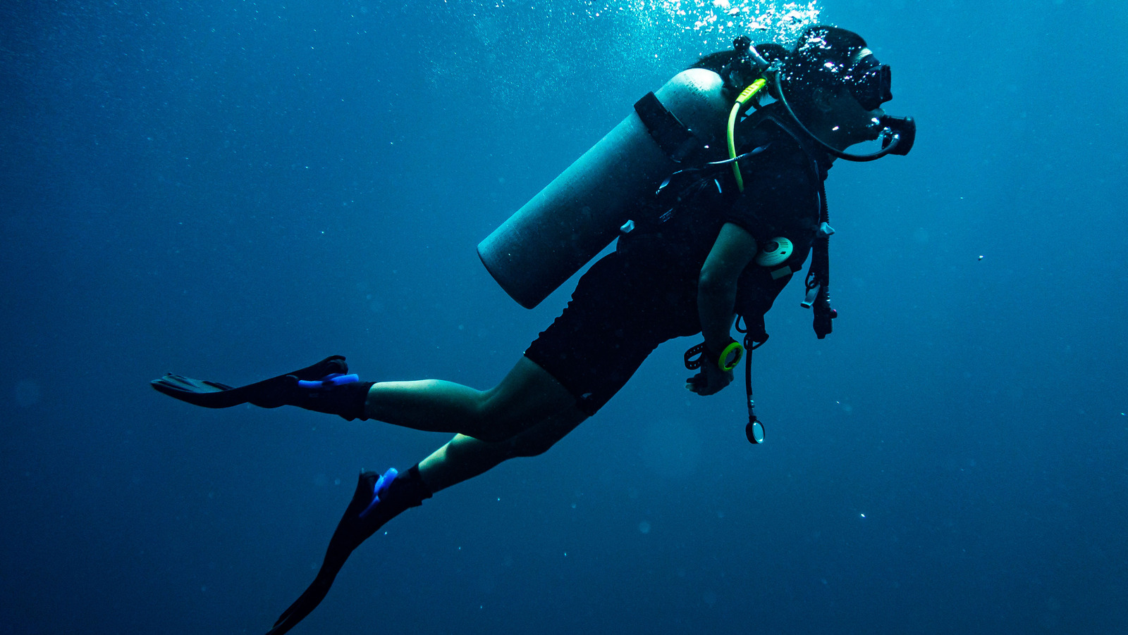What Happens To Your Body When You Scuba Dive