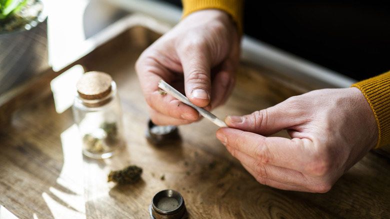 Hands holding marijuana joint
