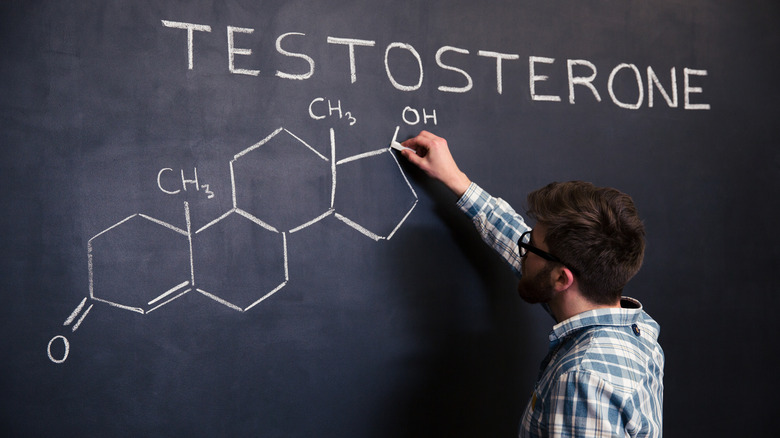 man drawing testosterone chemical