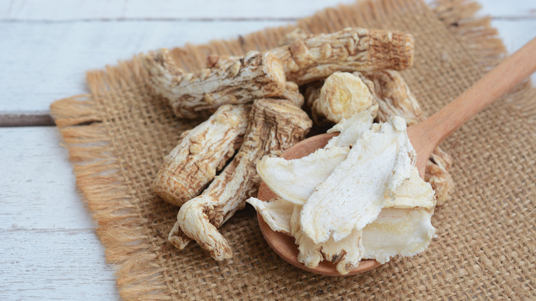 Dong quai root in a wooden tablespoon 