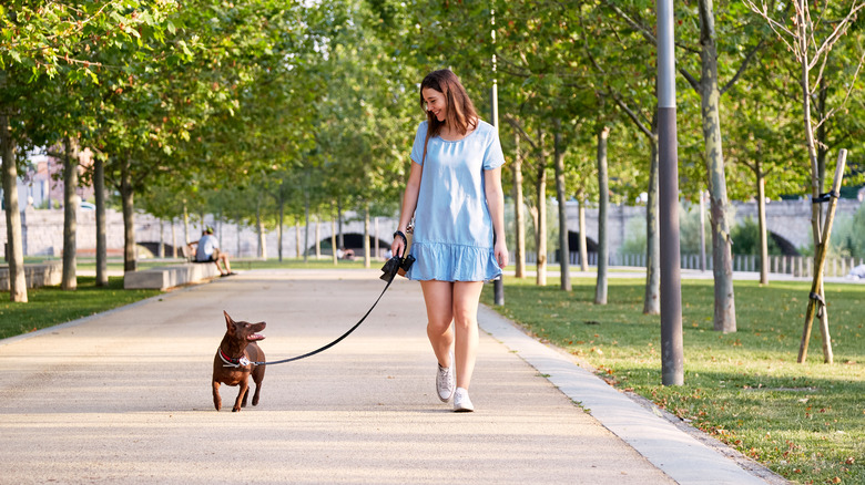 A woman walks her dog