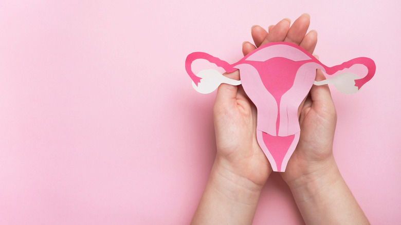 womans hands hold a model of the uterus 