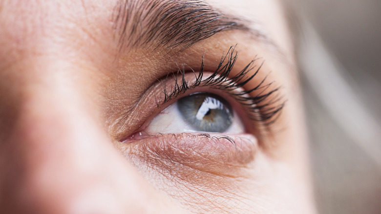 closeup of eye