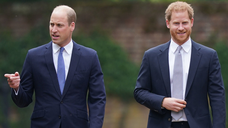 Prince Harry and Prince William walking