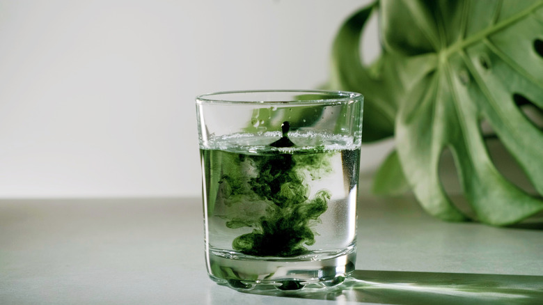 Chlorophyll extract is poured in pure water in glass against a white grey background with green leaf.