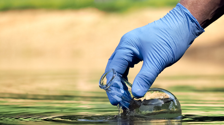 person testing water