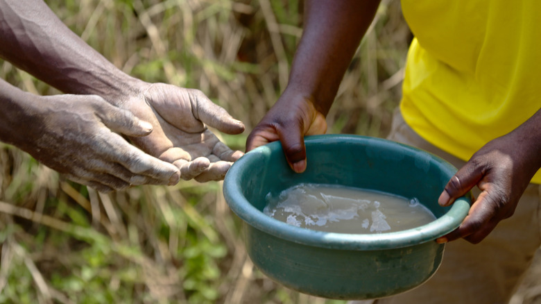 person holding bowl of water