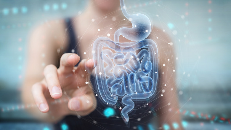 Woman pointing at the intestines