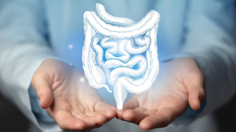 photo illustrating metabolism