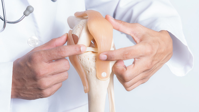 Doctor pointing to model of knee joint